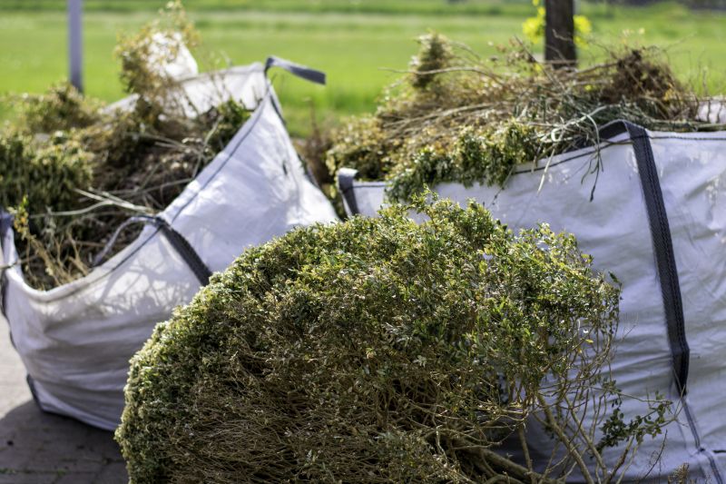 Garden Bush Removal