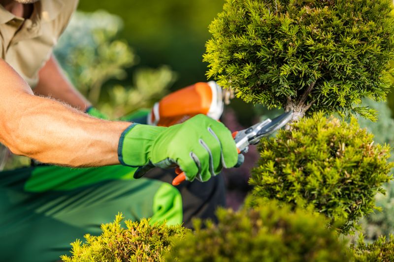 Shrub Trimming Service